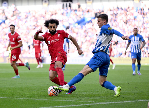 约和转会动 约和转会动