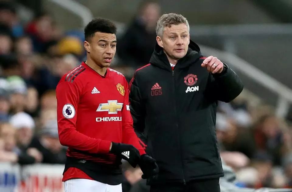 量的神龟 量的神龟