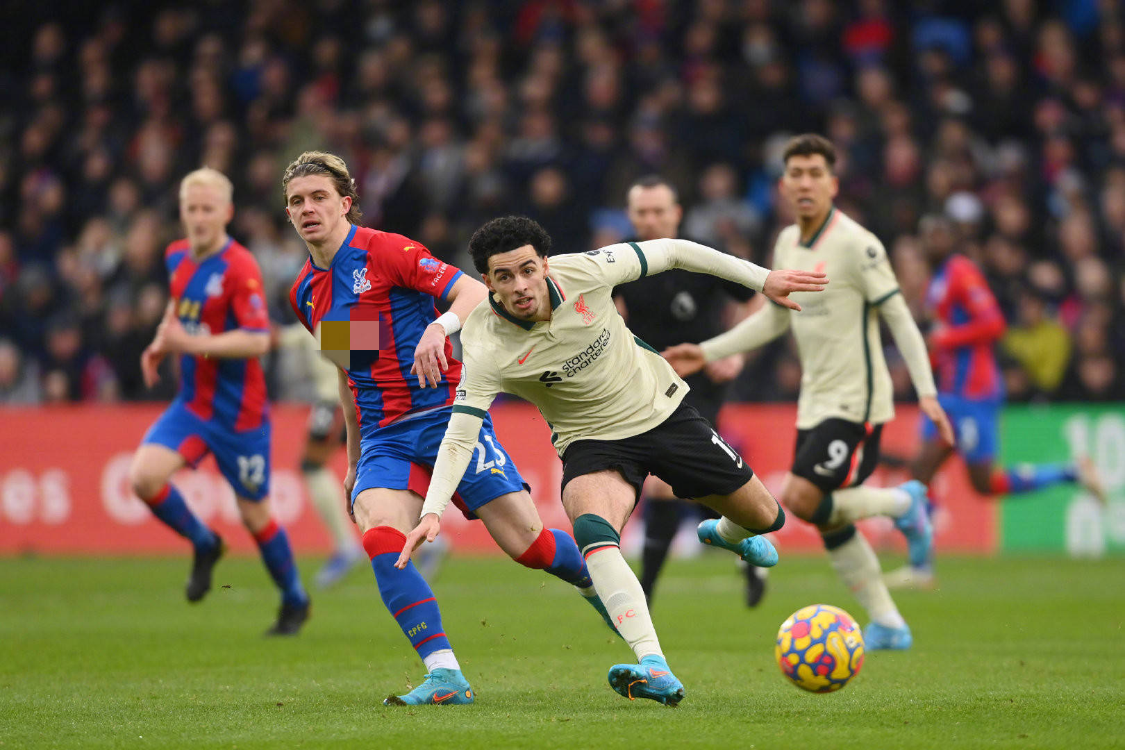 赛季表现的 赛季表现的